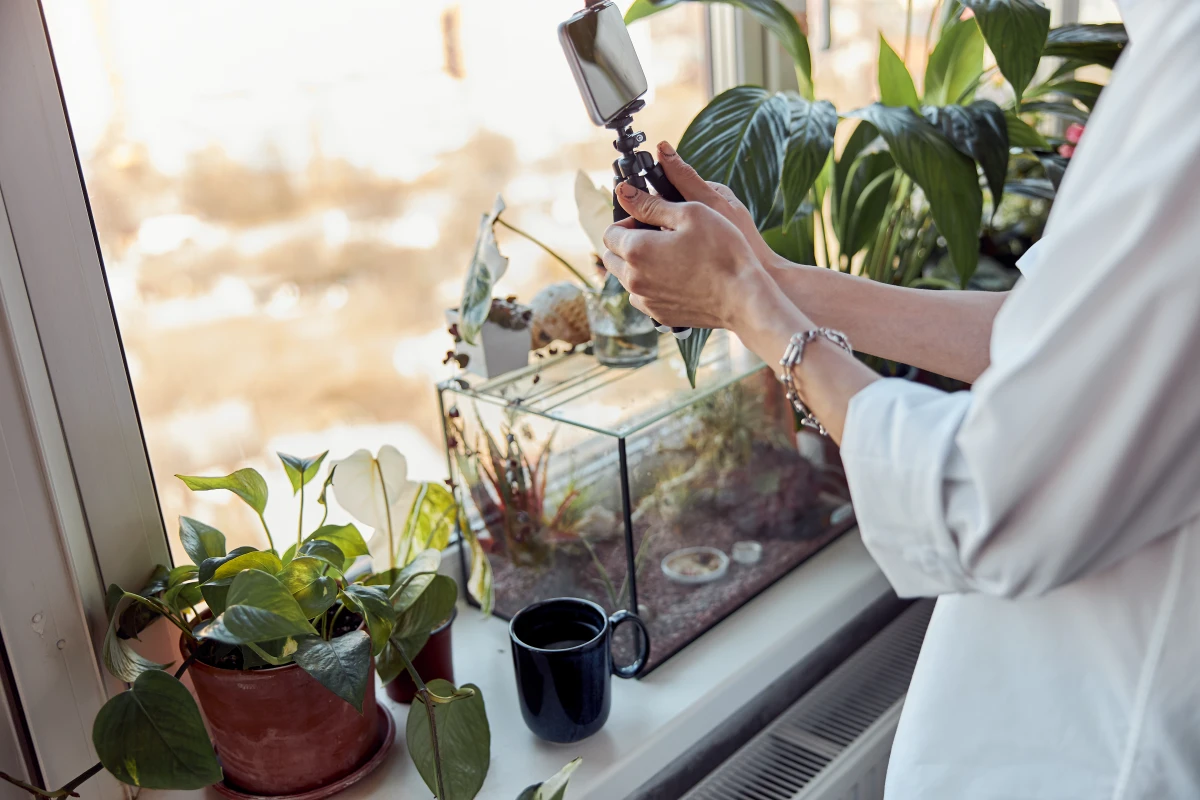 Création de contenu vidéo : le nouvel atout pour booster votre webmarketing