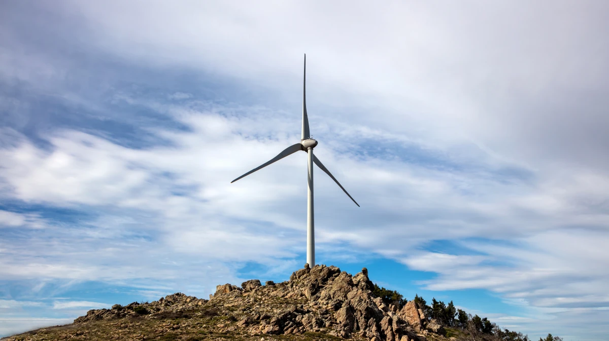 Le rôle crucial des énergies renouvelables dans la transition écologique